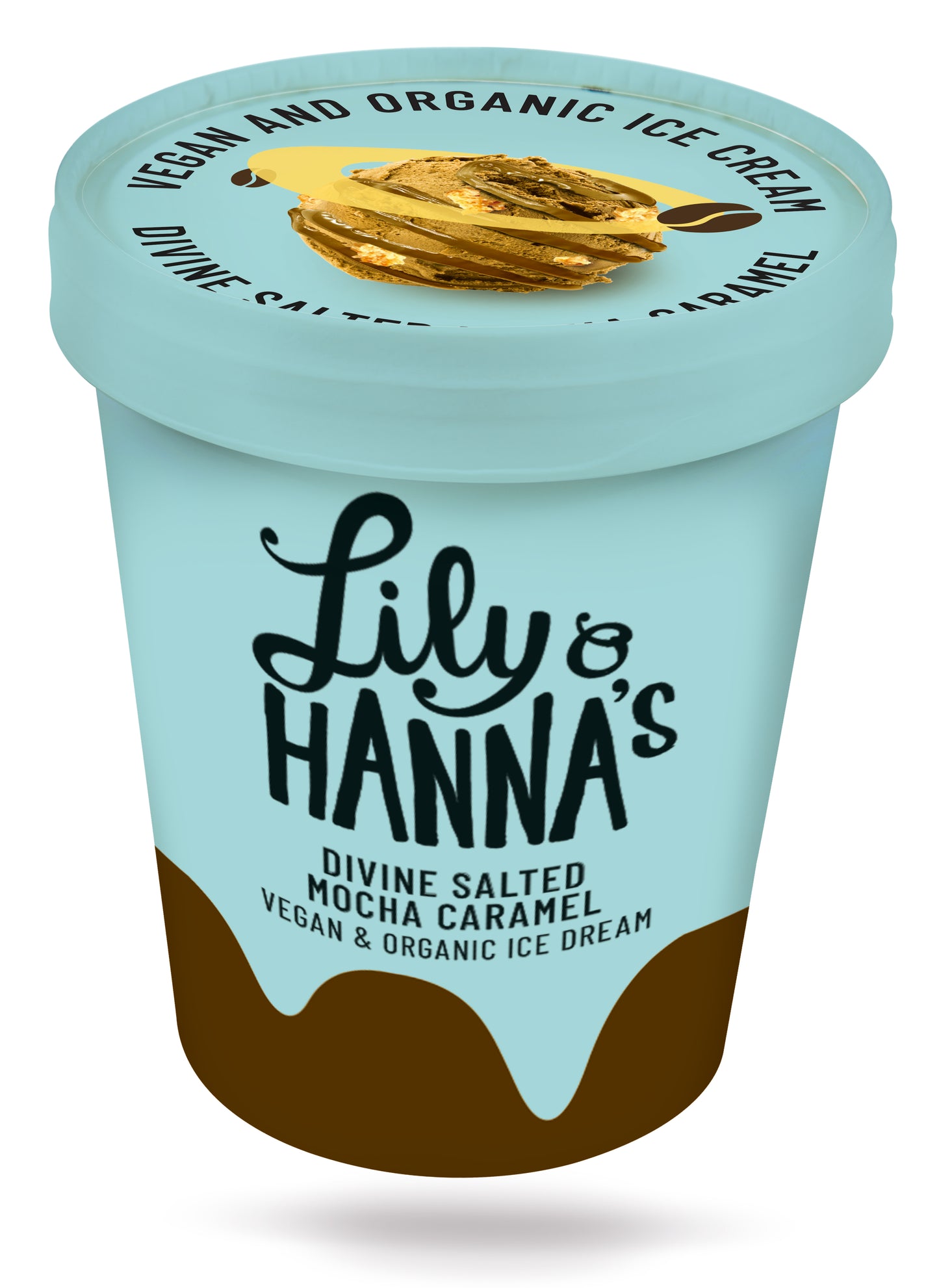 Divine Salted Mocha Caramel 465ml