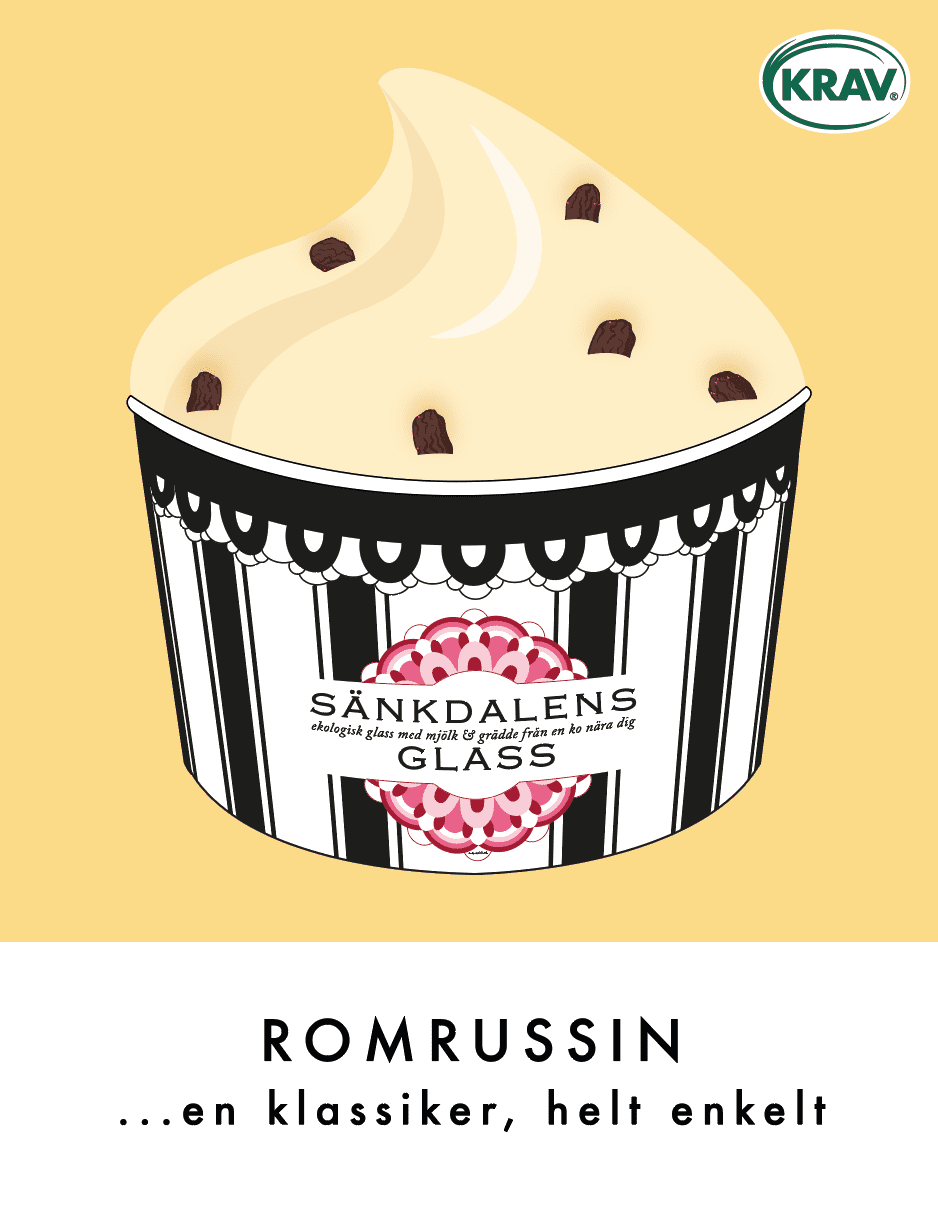 Romrussin